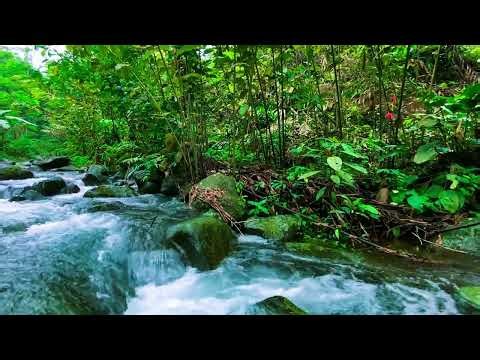 Peaceful River Stream to Relax Mind, Sleep Deeper, and Calm Stress at Night