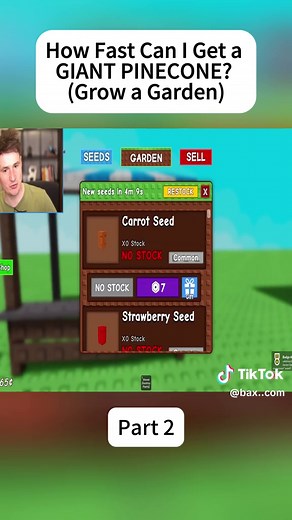 Construcción de un Jardín en Roblox: Parte 2