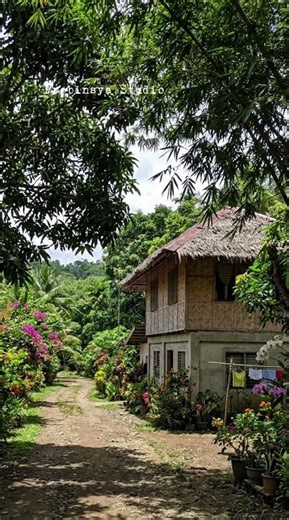 Simple Days, Province Ways 🌾 #slowlife #nostalgic #provincelife