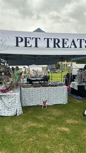 Charlie and the Treat Factory on Instagram: "We’ve been a bit slack at posting where to find us recently😳 Sooo, find us at Harold Gregson Park in Maitland until 1pm! We love being apart of the @homegrownmarkets family 😍 💻 www.charlieandthetreatfactory.com.au 🇦🇺 Australian Made 🌱 100% Single Ingredient Treats 🐶 Loved by Pets, Trusted by Owners 📦 FREE shipping over $100 🚘 FREE Local Pick Up & Delivery 🤍 Supporting Smal