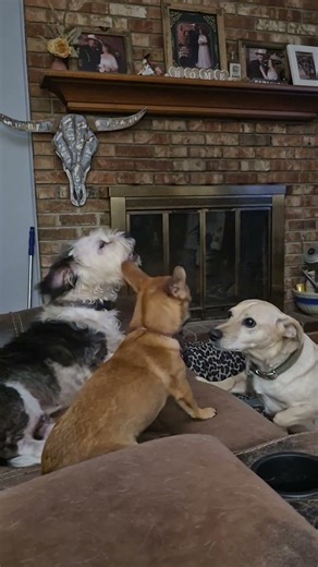 The two buddies singing