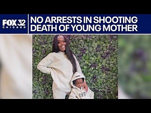 After no arrests in Chicago's mom's killing, family demands answers: 'How?'