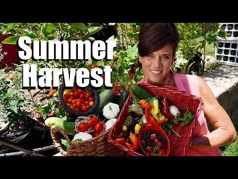 Organic Garden Summer Harvest - July, 2017