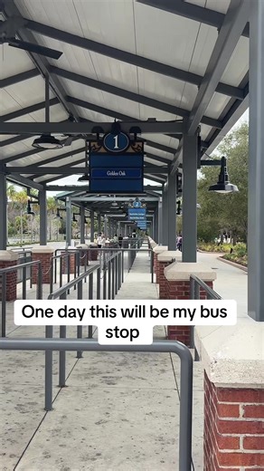 A Girl's Dream of Disney Adventure