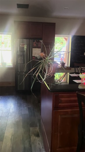 How to Grow a Pineapple from a Store-Bought Pineapple