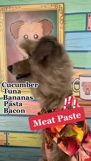 Hacker the Dog's Shopping List Adventures