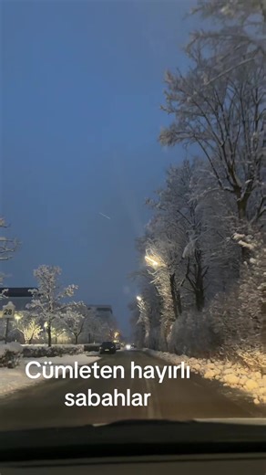 Good Morning Everyone!