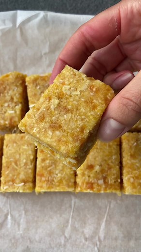 Homemade Apricot Coconut Slice Recipe