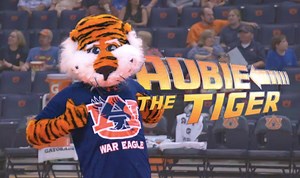 Here it is! My 2015-2016 UCA Nationals Video! | Aubie