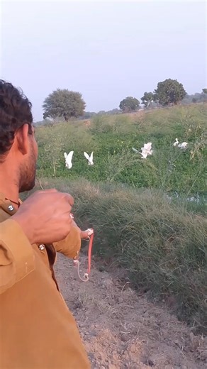 Slingshot hunting of Egret 🦩 9 bugley ek gaya😱😱