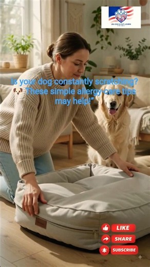 Dog Allergy Care 🐶 | Simple Tips to Help Your Itchy Dog