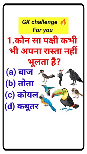 GK Quiz || GK in hindi || GK Question and Answer || GK Question#gk #sarkarinaukari #SandeepStudyGK