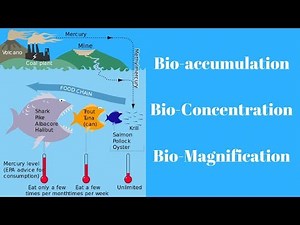 Environment & Ecology - Bio-accumulation, Bioconcentration & Biomagnification