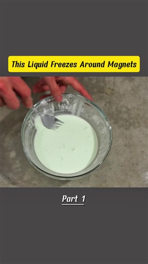 #theactionlab #magnets #usa