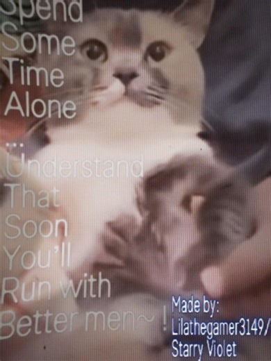 Chamber of reflection || I made the gif