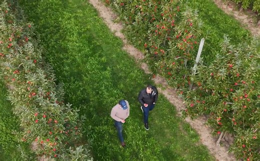 Martin’s Family Fruit Farm: Growing Together with Walmart Canada