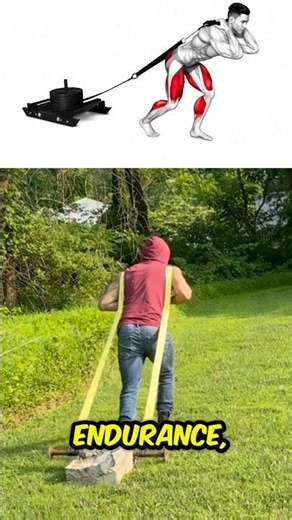 Why Sled Drags Are One of the Best Conditioning Exercises 💪