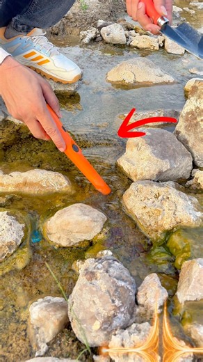 Best pinpointer metal detector search for gold in the river #pinpointer #golddetector #shortsfeed