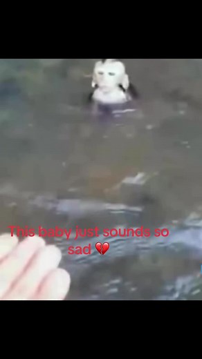Heartbroken Monkey Sounds: A Touching Moment