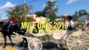 7.6K views · 141 reactions | We’re so glad y’all are enjoying our photos from the Benson Mule Days parade earlier today (9-28-19)! Now, here’s the video! Enjoy! There’s still so much going on, you’re going to need to check out the full schedule of events! Go here for that — bensonmuledays.com! | Town of Benson, NC | Facebook