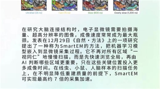 每天一个AI知识-1229 让显微镜“边看边思考”