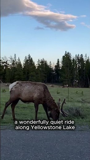 Drive these five roads to escape the crowds in Yellowstone