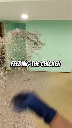 applying paint chips into epoxy floor #satisfying #epoxy