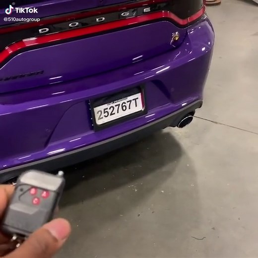 Stealth Plates for Dodge Charger Hellcat SRT8 | 510 Auto Group