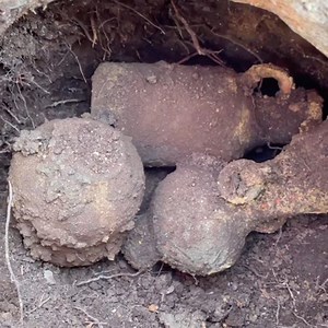 274K views · 4.3K reactions | 7 wonders on Reels | Facebook