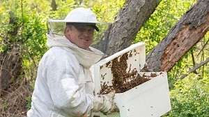 Has a swarm taken up residence with you? This local beekeeper can help