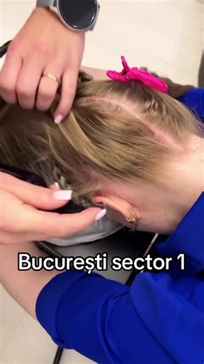 Discover București Sector 1: A Hidden Gem