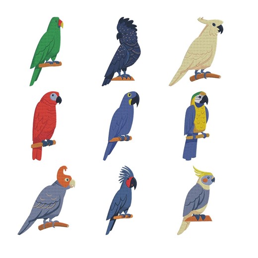 Tropical Parrot Embroidery Design, Macaw Cockatoo Machine Embroidery File, Instant Download - Etsy