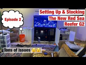 Setting Up the New Red Sea Reefer G2 and Adding Corals & Fish (Episode 2)