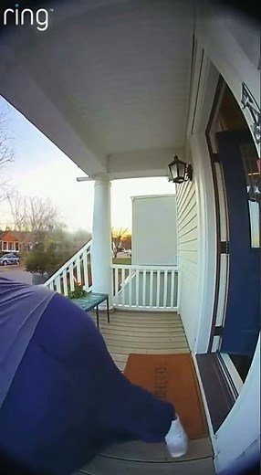 Man falls through the floor! 😅 #comedy #funny #trending #trendingshorts #hilarious #tiktok #ai