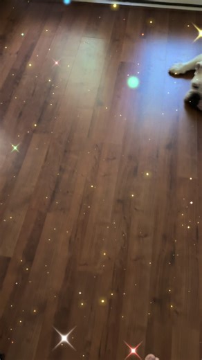 Unboxing day!!!! Presents!!! #bb3 #babythree #blindbox #samuel #confirmed @Jessica Gift Store 🎁 @Leo