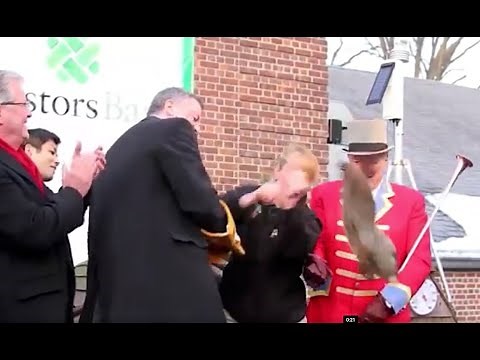 New York City Mayor Bill de Blasio drops Staten Island groundhog