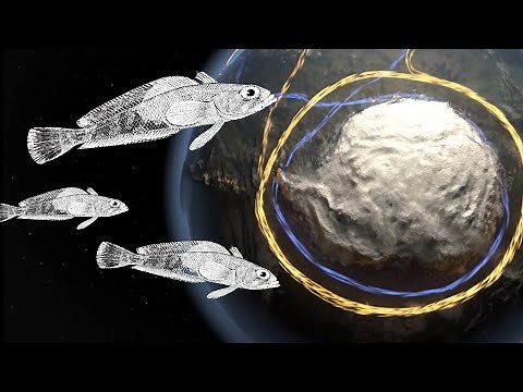 The EPIC Story of Antarctic Toothfish