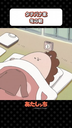 冬の朝🌞 - タチバナ家のあたしンちアニメ