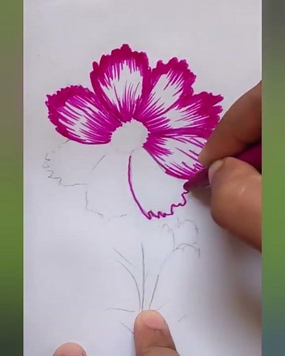 Cosmos Flower Drawing Tutorial | Easy Step-by-Step for Beginners🌼 Draw a Cosmos Flower with Me