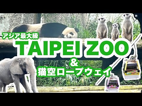 【台湾どこ行く？🇹🇼】東南アジア最大規模の台北市動物園(Taipei Zoo in Taiwan)臺北市動物園