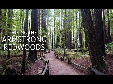 Armstrong Redwoods State Natural Reserve: Hiking the Pioneer Nature Trail