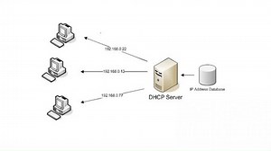 Dhcp server assigning ip addresses. Diagram depicting a DHCP server dynamically assigning unique IP addresses to multiple devices on a network.