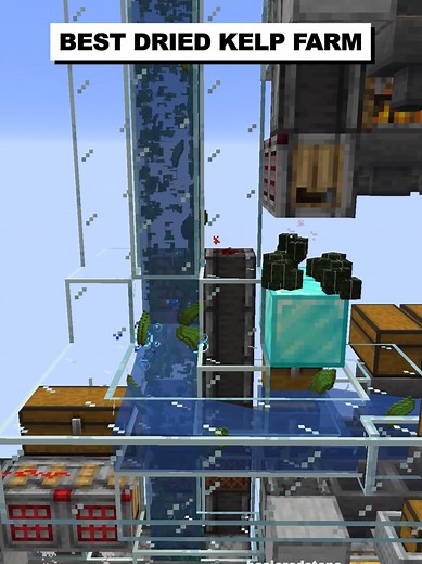 Best Kelp Farm for Donut SMP - Schematics Available!