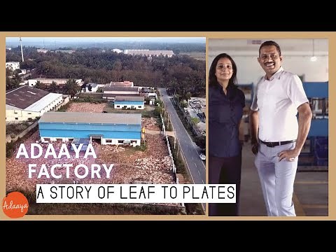 Journey of a Leaf to Plates: An amazing story of Palm Leaf Plate Manufacturer, Adaaya