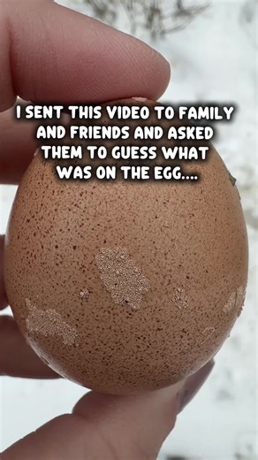 That last one though 😆🤦‍♀️😂😬#eggs #chickens | Eggs