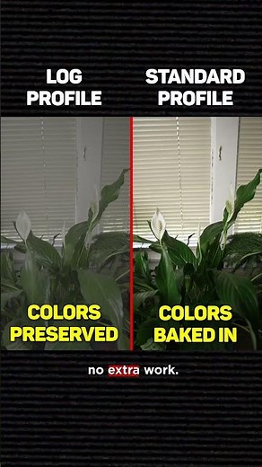 What Is A Camera Profile And Which One Should You Use?