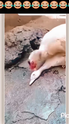 Three Dimention on Instagram