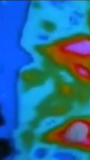 "Anytime" PREDATOR | 1987 | #predator #arnoldswarzenager #80smovies #m...