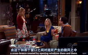 Penny讲话如Sheldon附体，众人目瞪口呆，谢耳朵一脸欣慰哈哈哈哈《生活大爆炸》