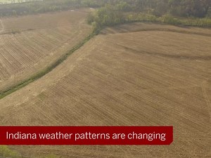 8.8K views · 34 reactions | Our $55 million investment will safeguard Hoosiers against urgent threats to our farms, health and economy. Learn more: bit.ly/2ql8oPt | Indiana University | Facebook